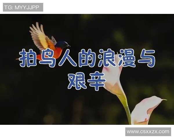 琼斯的传奇人生与不为人知的故事揭示了成功背后的艰辛与坚持