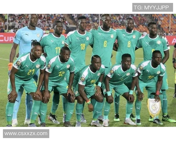 阿尔及利亚与波特兰的精彩对决揭示足球魅力与战术智慧的较量