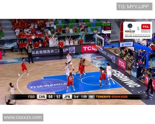 孙悦：从篮球场的传奇到人生舞台的多元探索与成长之路