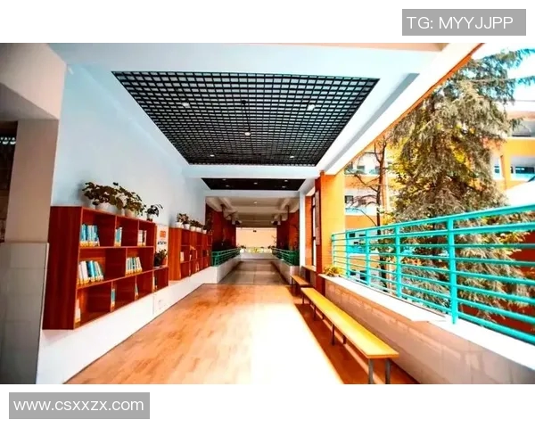 南京篮球队的蜕变之路：从传统强队到现代化竞技新标杆