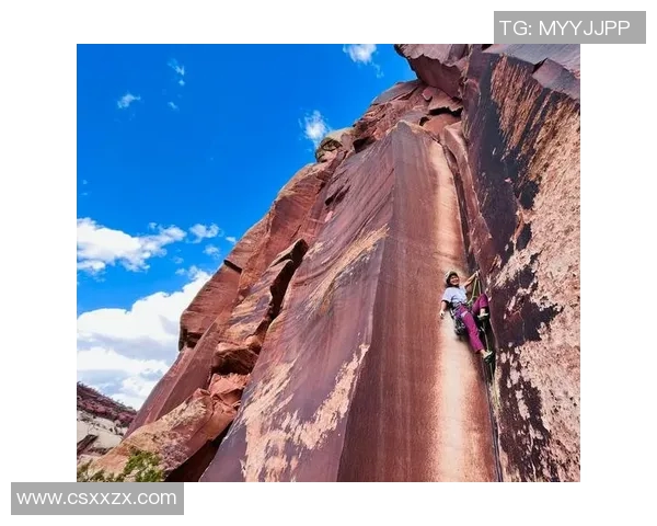 成都攀岩队强势登顶最新攀岩力量排行榜前十名解析MBA 成都攀岩队强势登顶最新攀岩力量排行榜前十名解析MBA