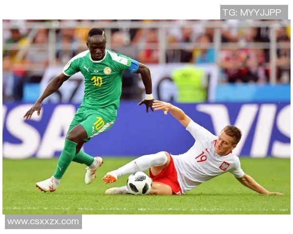 波兰与塞内加尔比赛水位分析及投注建议探讨