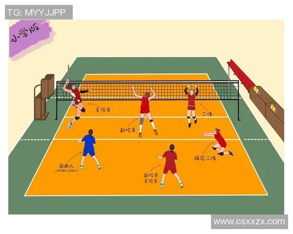 广州排球队反击战术解析与深度剖析排球竞技的魅力与挑战