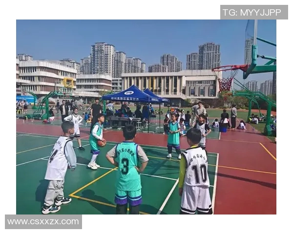 杭州篮球队战术解析：如何在赛场上实现团队协作与个人突破