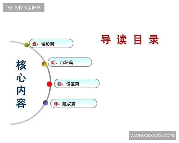 深入分析上海排球队的运营策略与市场推广模式探讨