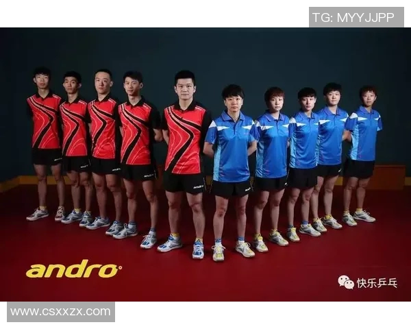 赛后分析：西安乒乓球队与重庆乒乓球队的默契配合与战术探讨